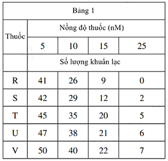 A table with numbers and lettersDescription automatically generated